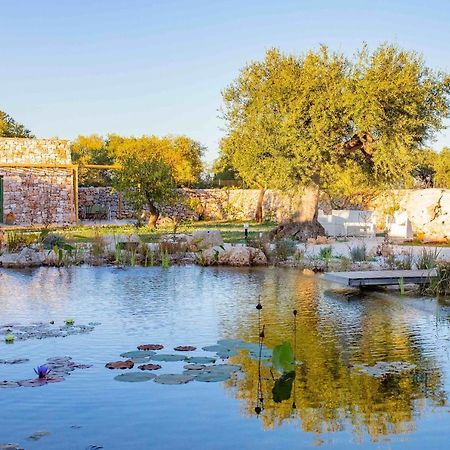 Il Fiore Della Vita Trulli Country House Κονβερσάνο Εξωτερικό φωτογραφία