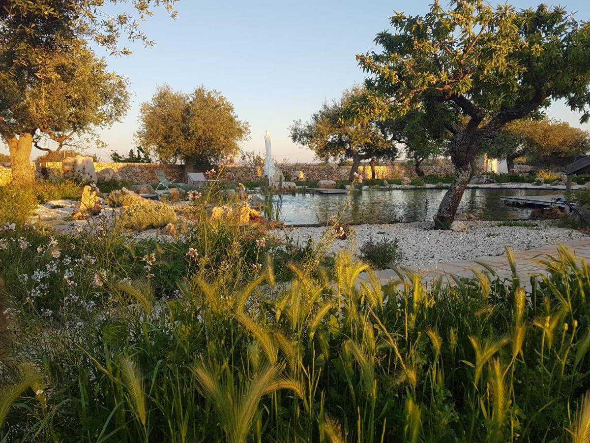 Il Fiore Della Vita Trulli Country House Κονβερσάνο Εξωτερικό φωτογραφία