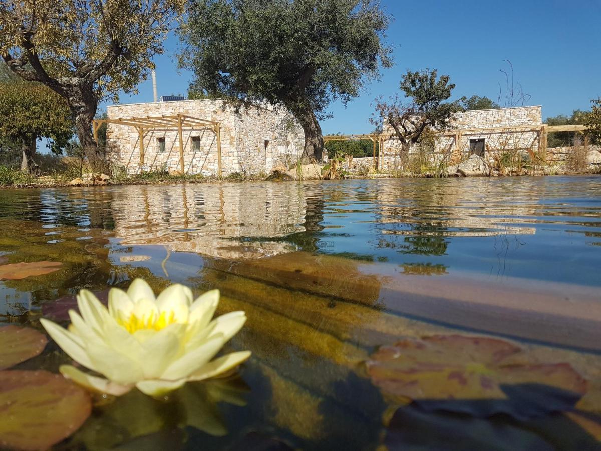 Il Fiore Della Vita Trulli Country House Κονβερσάνο Εξωτερικό φωτογραφία