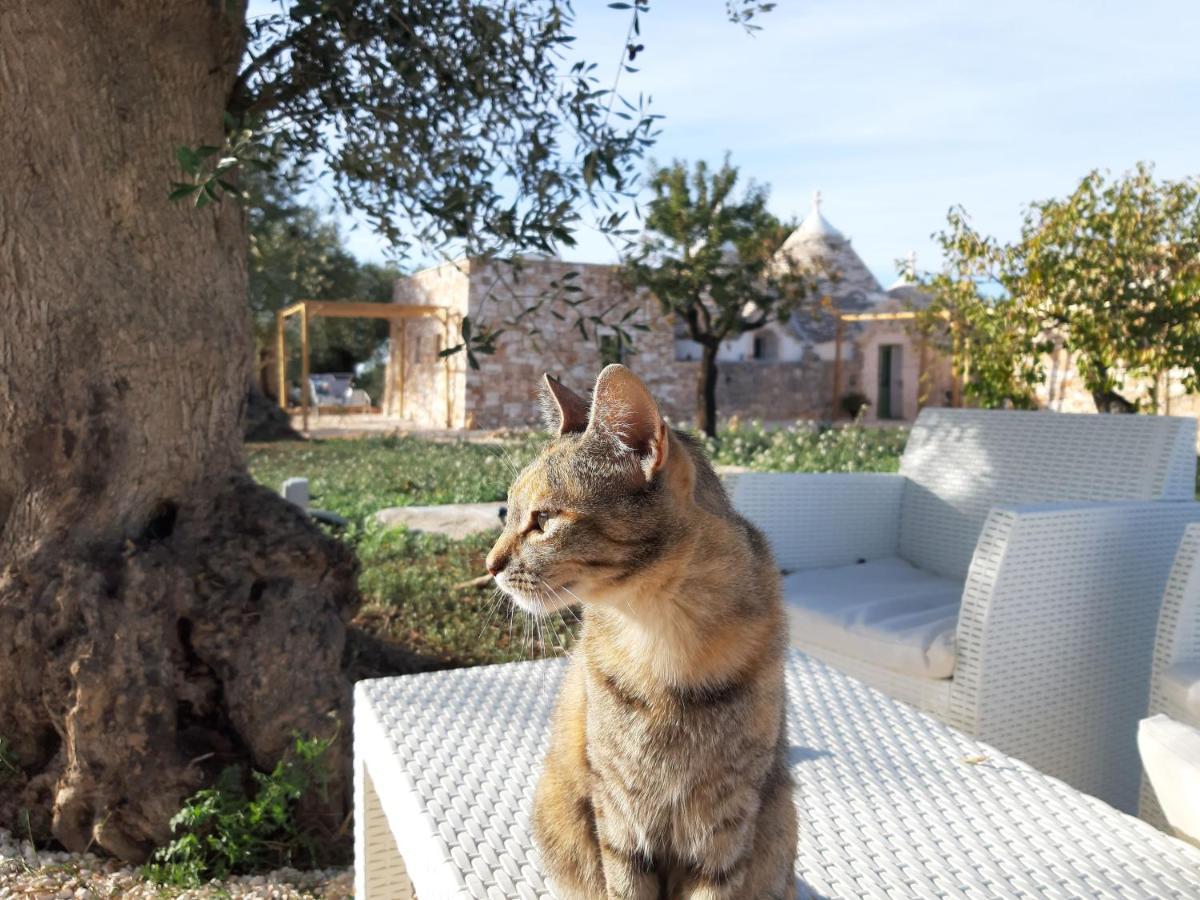 Il Fiore Della Vita Trulli Country House Κονβερσάνο Εξωτερικό φωτογραφία